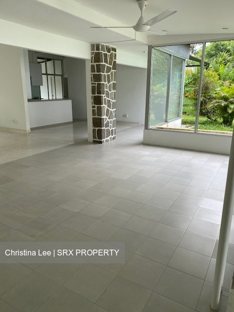 Raffles Park (D11), Detached #581398571